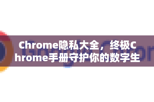 Chrome隐私大全，终极Chrome手册守护你的数字生活