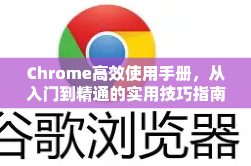 Chrome高效使用手册，从入门到精通的实用技巧指南-第1张图片-Chrome下载官网|Google官方浏览器下载
