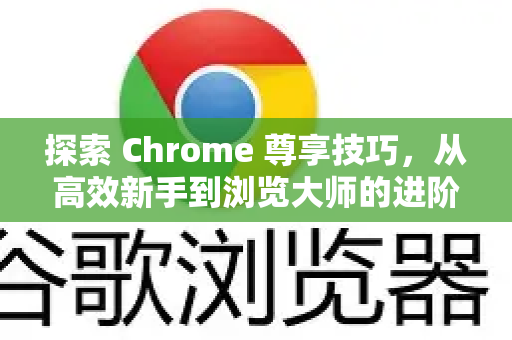 探索 Chrome 尊享技巧，从高效新手到浏览大师的进阶手册