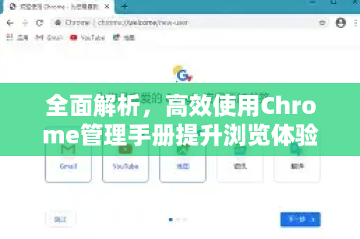 全面解析，高效使用Chrome管理手册提升浏览体验与安全性