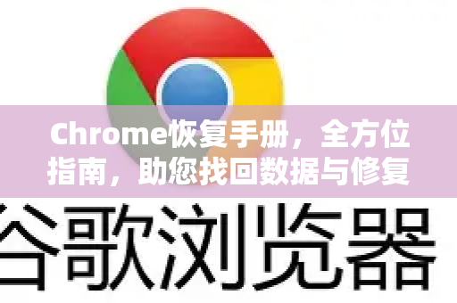 Chrome恢复手册，全方位指南，助您找回数据与修复故障