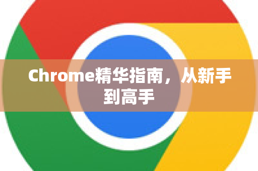 Chrome精华指南，从新手到高手