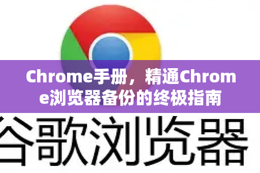 Chrome手册，精通Chrome浏览器备份的终极指南