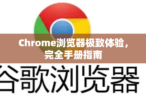 Chrome浏览器极致体验，完全手册指南