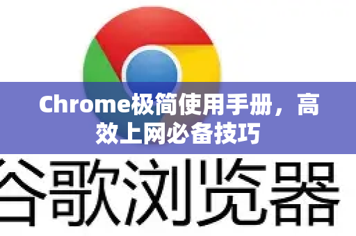 Chrome极简使用手册，高效上网必备技巧