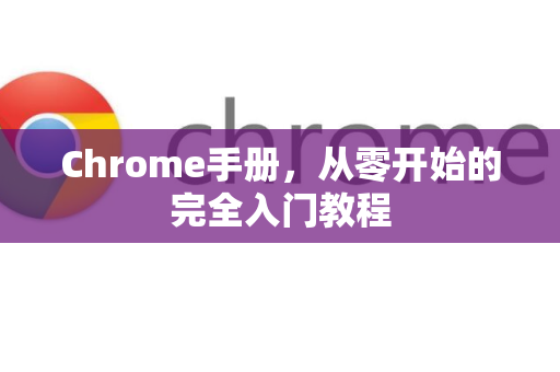 Chrome手册，从零开始的完全入门教程