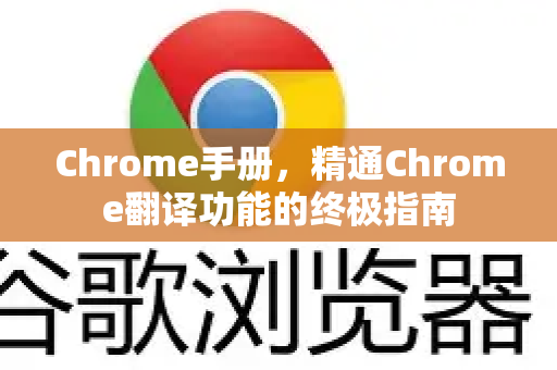 Chrome手册，精通Chrome翻译功能的终极指南