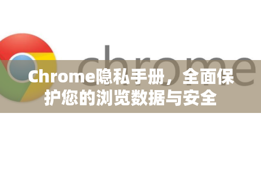 Chrome隐私手册，全面保护您的浏览数据与安全-第1张图片-Chrome下载官网|Google官方浏览器下载