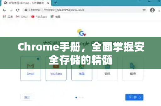 Chrome手册，全面掌握安全存储的精髓