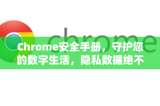 Chrome安全手册，守护您的数字生活，隐私数据绝不泄露-第1张图片-Chrome下载官网|Google官方浏览器下载