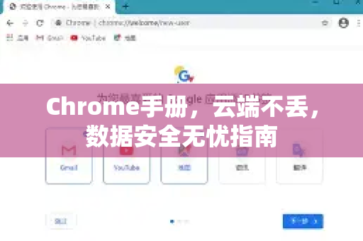 Chrome手册，云端不丢，数据安全无忧指南