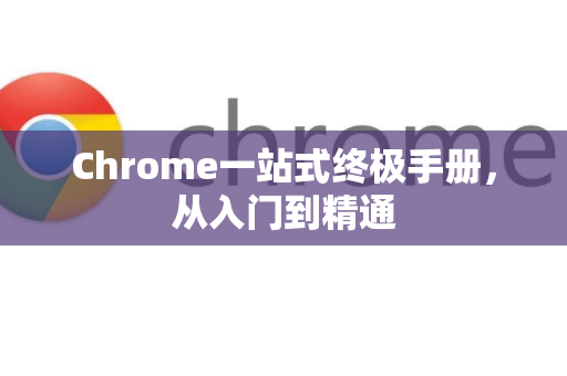 Chrome一站式终极手册，从入门到精通-第1张图片-Chrome下载官网|Google官方浏览器下载