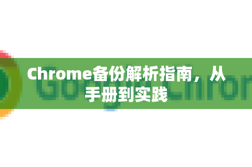 Chrome备份解析指南，从手册到实践
