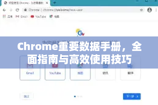 Chrome重要数据手册，全面指南与高效使用技巧