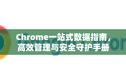 Chrome一站式数据指南，高效管理与安全守护手册