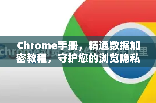 Chrome手册，精通数据加密教程，守护您的浏览隐私与安全