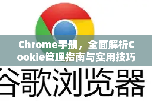 Chrome手册，全面解析Cookie管理指南与实用技巧