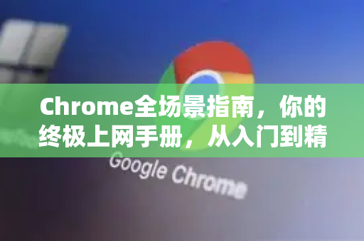 Chrome全场景指南，你的终极上网手册，从入门到精通-第1张图片-Chrome下载官网|Google官方浏览器下载