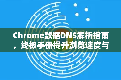 Chrome数据DNS解析指南，终极手册提升浏览速度与安全-第1张图片-Chrome下载官网|Google官方浏览器下载