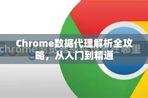 Chrome数据代理解析全攻略，从入门到精通-第1张图片-Chrome下载官网|Google官方浏览器下载
