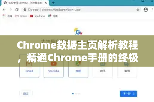 Chrome数据主页解析教程，精通Chrome手册的终极指南-第1张图片-Chrome下载官网|Google官方浏览器下载