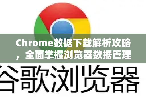 Chrome数据下载解析攻略，全面掌握浏览器数据管理-第1张图片-Chrome下载官网|Google官方浏览器下载