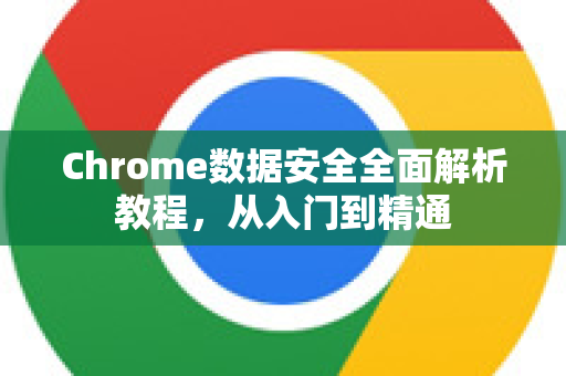 Chrome数据安全全面解析教程，从入门到精通