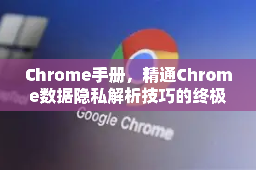 Chrome手册，精通Chrome数据隐私解析技巧的终极指南