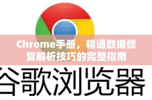 Chrome手册，精通数据修复解析技巧的完整指南