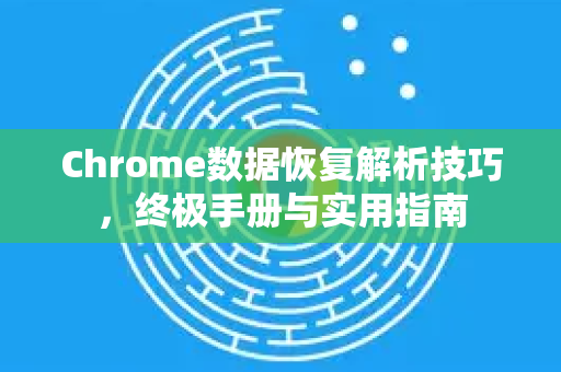 Chrome数据恢复解析技巧，终极手册与实用指南