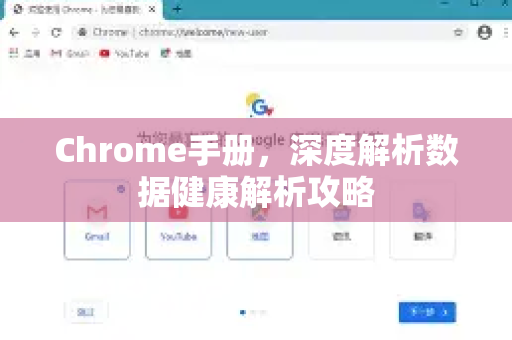 Chrome手册，深度解析数据健康解析攻略