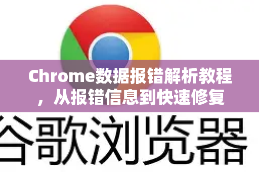 Chrome数据报错解析教程，从报错信息到快速修复