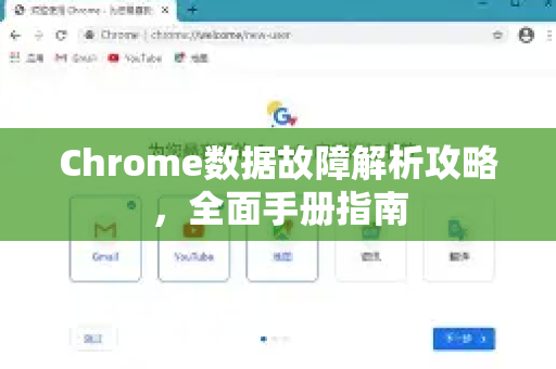 Chrome数据故障解析攻略，全面手册指南-第1张图片-Chrome下载官网|Google官方浏览器下载