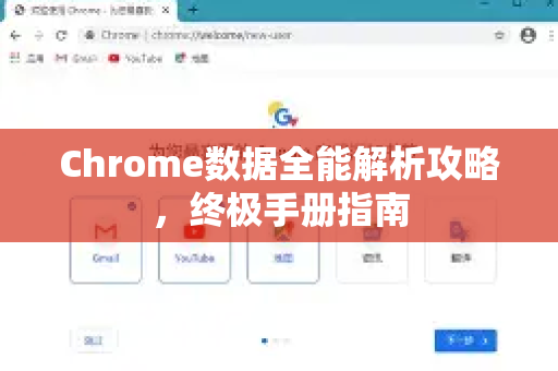 Chrome数据全能解析攻略，终极手册指南