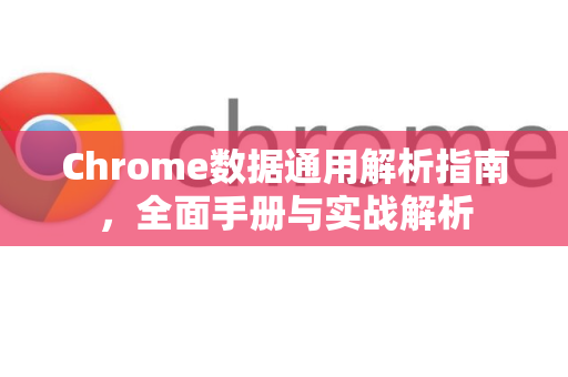 Chrome数据通用解析指南，全面手册与实战解析