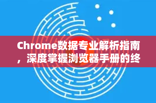 Chrome数据专业解析指南，深度掌握浏览器手册的终极秘籍