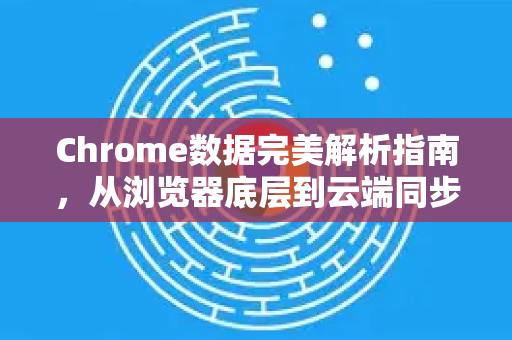 Chrome数据完美解析指南，从浏览器底层到云端同步的全方位手册