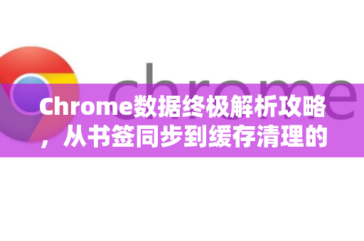 Chrome数据终极解析攻略，从书签同步到缓存清理的完整手册