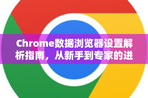 Chrome数据浏览器设置解析指南，从新手到专家的进阶手册