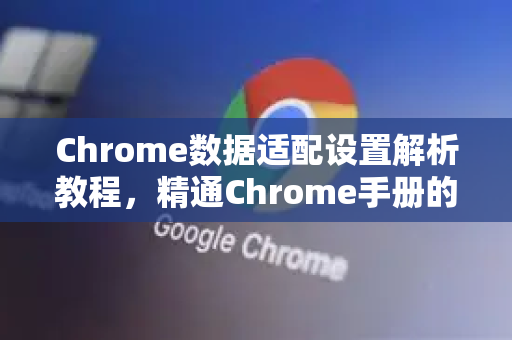 Chrome数据适配设置解析教程，精通Chrome手册的终极指南
