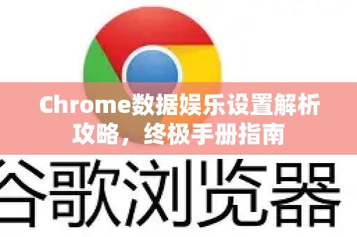 Chrome数据娱乐设置解析攻略，终极手册指南-第1张图片-Chrome下载官网|Google官方浏览器下载