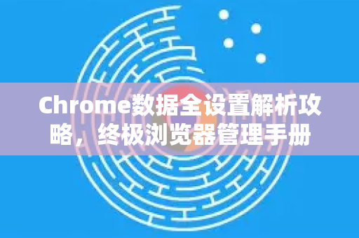 Chrome数据全设置解析攻略，终极浏览器管理手册
