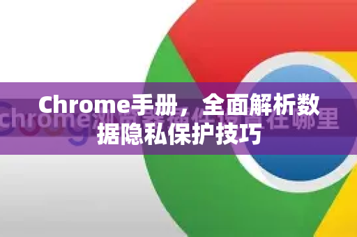 Chrome手册，全面解析数据隐私保护技巧