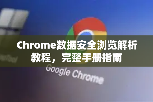 Chrome数据安全浏览解析教程，完整手册指南