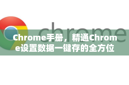 Chrome手册，精通Chrome设置数据一键存的全方位指南
