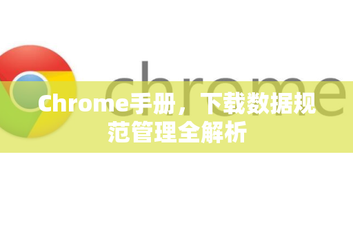 Chrome手册，下载数据规范管理全解析