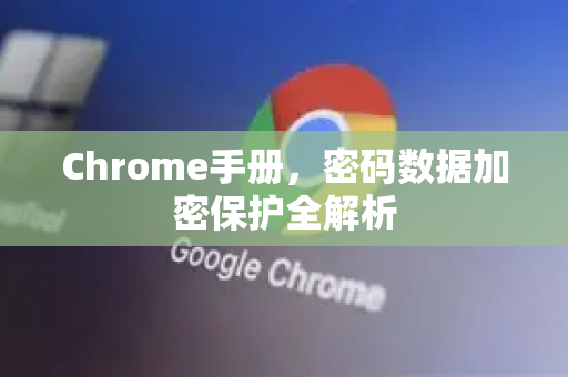 Chrome手册，密码数据加密保护全解析