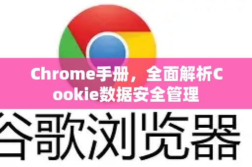 Chrome手册，全面解析Cookie数据安全管理