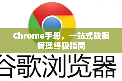 Chrome手册，一站式数据管理终极指南