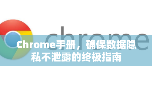 Chrome手册，确保数据隐私不泄露的终极指南